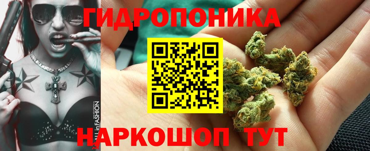 Североморск  Бошки марихуана OG Kush  Вход с VPN  МАРИХУАНА White Widow  Бошки Шишки Amnesia 